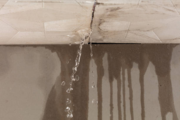Professional Water Damage Repair technician working in Rio Frio, TX